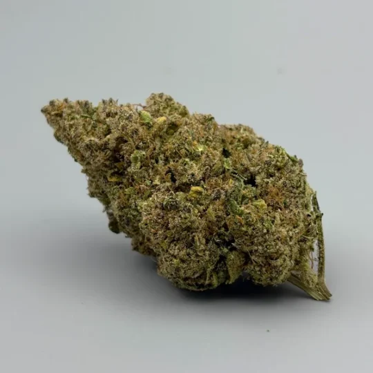 Northern Lights